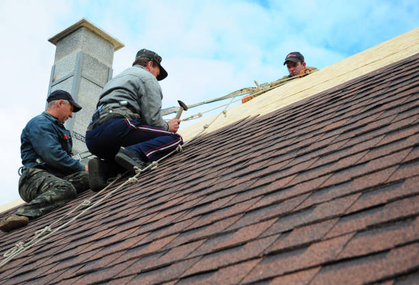 Best Roof Gutter Cleaning  in Elwood, KS